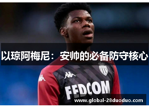 以琼阿梅尼：安帅的必备防守核心