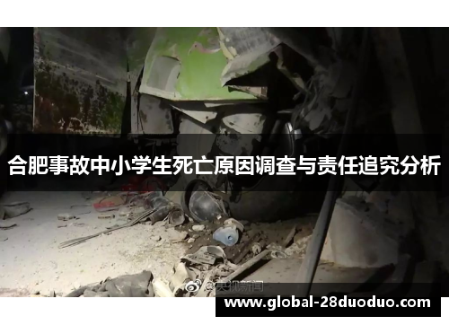 合肥事故中小学生死亡原因调查与责任追究分析