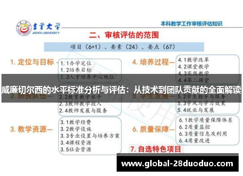威廉切尔西的水平标准分析与评估：从技术到团队贡献的全面解读