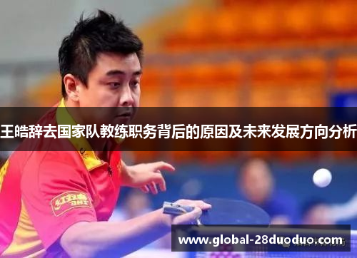 王皓辞去国家队教练职务背后的原因及未来发展方向分析