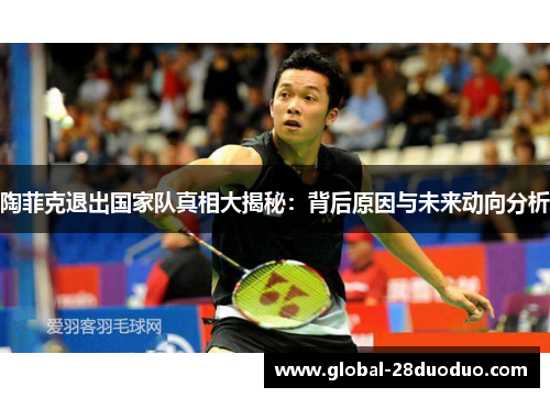 陶菲克退出国家队真相大揭秘：背后原因与未来动向分析