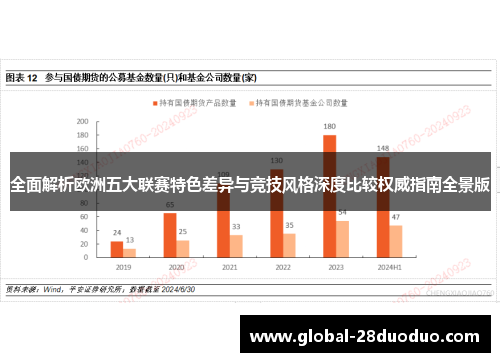 全面解析欧洲五大联赛特色差异与竞技风格深度比较权威指南全景版