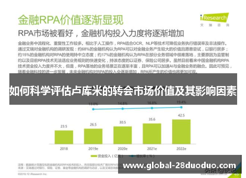 如何科学评估卢库米的转会市场价值及其影响因素