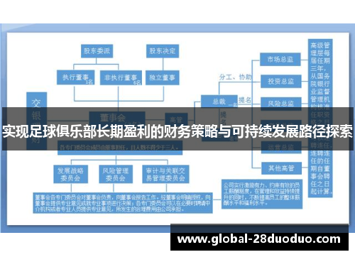 实现足球俱乐部长期盈利的财务策略与可持续发展路径探索