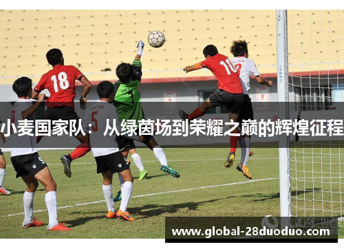 小麦国家队：从绿茵场到荣耀之巅的辉煌征程